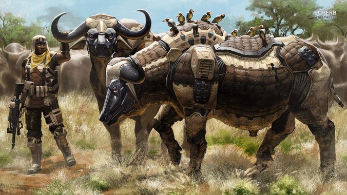 为什么软件公司很少用python开发web?